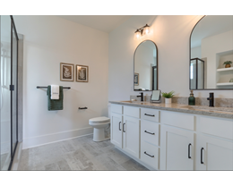 Included Feature - Adult Height Vanity Cabinetry - Owner's Bath