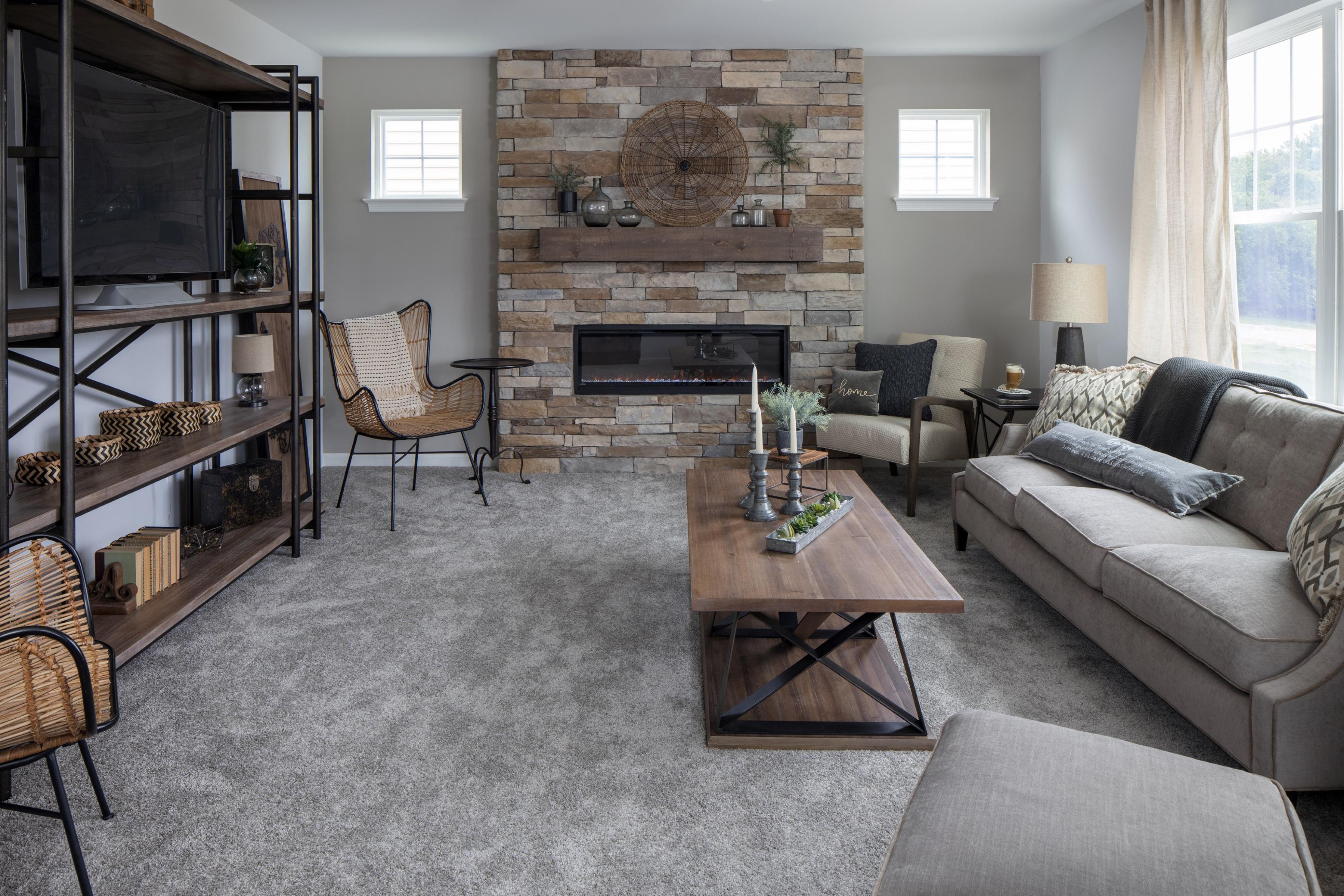 Fireplace fp3e Linear Fireplace, One-Story, Electric