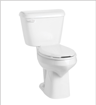 Upgrade to Elongated 17" High Commode