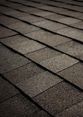 SHINGLE SELECTION