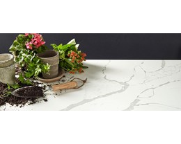 Change Included T01 Granite Top to T06 Granite, Quartz or Silestone (By SF)
