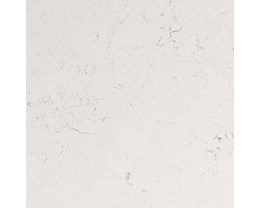 Change Included T01 Granite Top to T04 Granite, Quartz or Silestone (By SF)