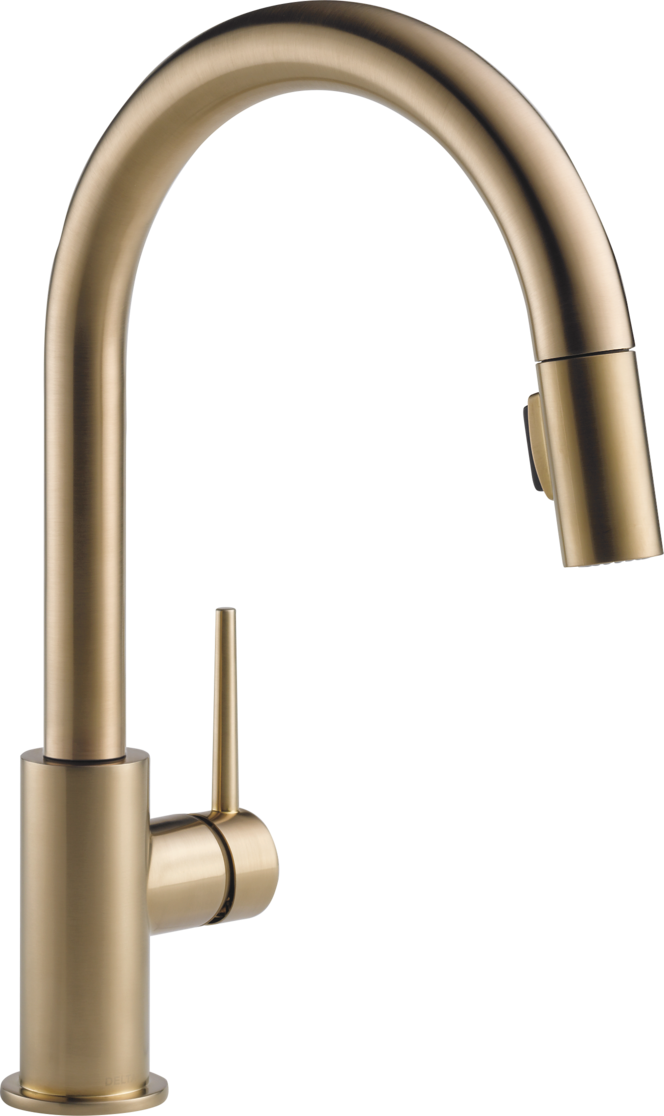 Delta Trinsic Kitchen Faucet with Pull-Down - Gold (CZ)