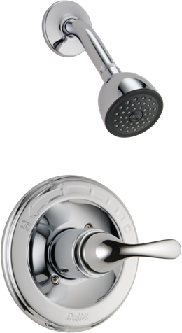 Included Feature - Delta Classic Chrome Shower Faucet - Master Bath