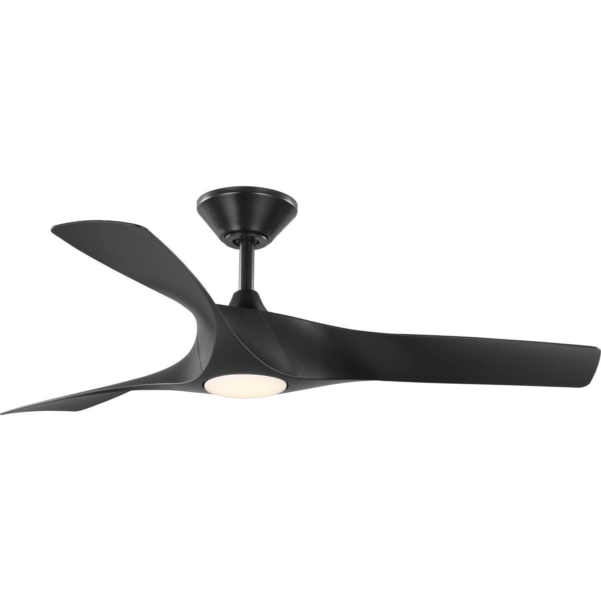 P250060-031-30 Ryne Indoor-Outdoor Ceiling Fan - Matte Black, LED lights, 1-Story Area