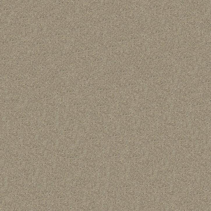 Included Feature - Carpet Flooring and Carpet Pad, Tier 01