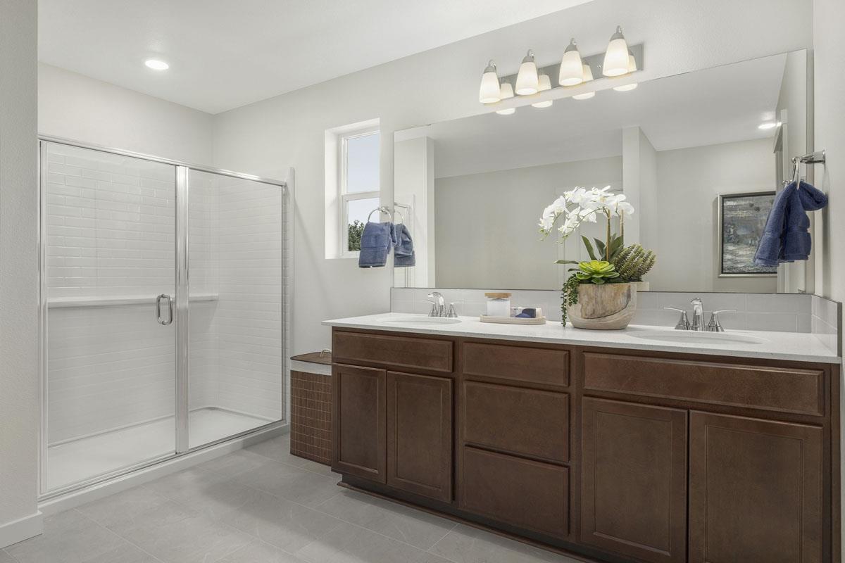 Shower Enclosure Clear Glass