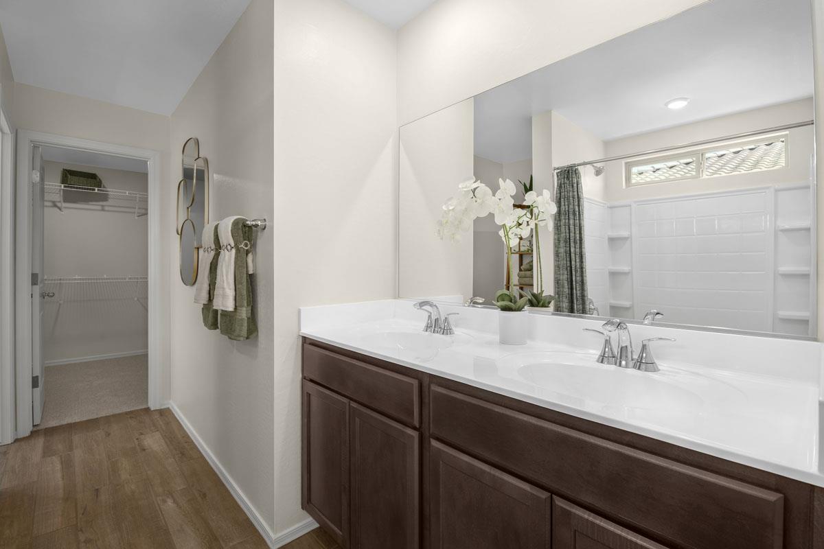 Primary Bathroom Cabinet Vanity with 2 Sinks